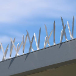 Anti Bird Deterrent Spikes